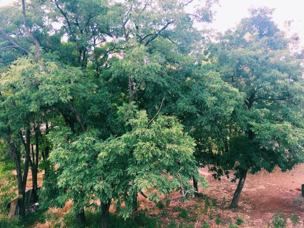 Хостелы Hostel Darnitsa1 Киев-52